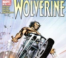 Wolverine Vol 3 Nº73