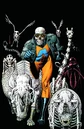 Animal Man 0024.jpg