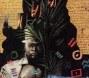 Papa Midnite (New Earth)/Images