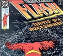 Flash Vol 2 41