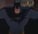 Bruce Wayne (Superman/Batman)
