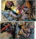 Death of Hawkgirl 01.jpg