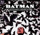 Batman: Gotham Knights Vol 1 42