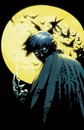 Robin Tim Drake 0008.jpg