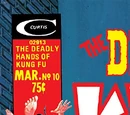 Deadly Hands of Kung Fu Vol 1 10
