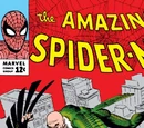 Amazing Spider-Man Vol 1 2