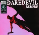 Daredevil: Reborn Vol 1 3