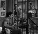 The Guitar Player