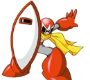 Proto Shield