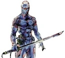 Gray Fox