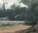 Flooded Forest