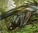 Nargacuga