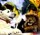 Chuck the Lion