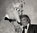 Emmy Awards Ceremony