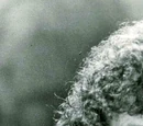 Episode 514: Mac Davis