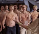 Say You'll Be Maztak