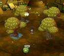 Treasure Cave