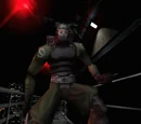 No. 9 Golem (boss)