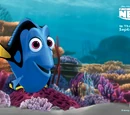 Dory