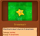 Starfruit