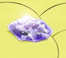 Evolution Stones
