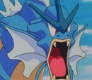 James' Gyarados