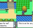 Pokémon Diamond/Pearl Walkthrough (Part 3)