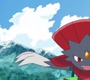 Weavile Paula
