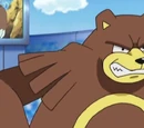 Ursaring Paula