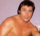 José Luis Barajas Fernández