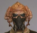 Plo Koon