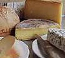 Cheese and Carrot Corps