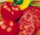 Amish Tomato Ketchup