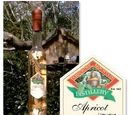 Apricot liqueur