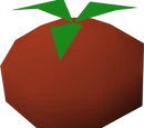 Tomato