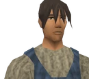 Bert