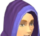 Batwing robes