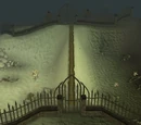 Wilderness Agility Course