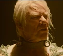 Leonard Wolf (film)