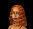 Sims by Neighborhood (fanon)
