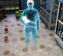 Game guide:Having a ghost baby