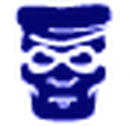 Criminal career.png