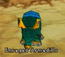 Enraged Armadillo
