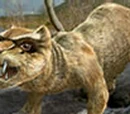 Gryken