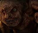 Pseudogiant