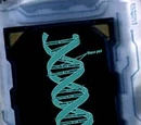 Ancient Technology Activation gene