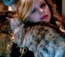 Pets