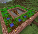 Farm