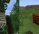 Beehives