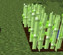 Crops Tutorial